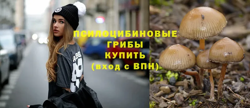 Псилоцибиновые грибы MAGIC MUSHROOMS  Багратионовск 